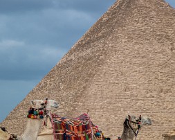 Egypt_2018-073