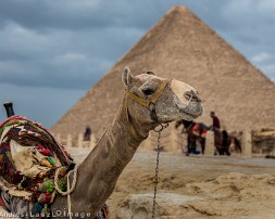 Egypt_2018-074