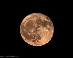 June_11th_2025-4795-FB